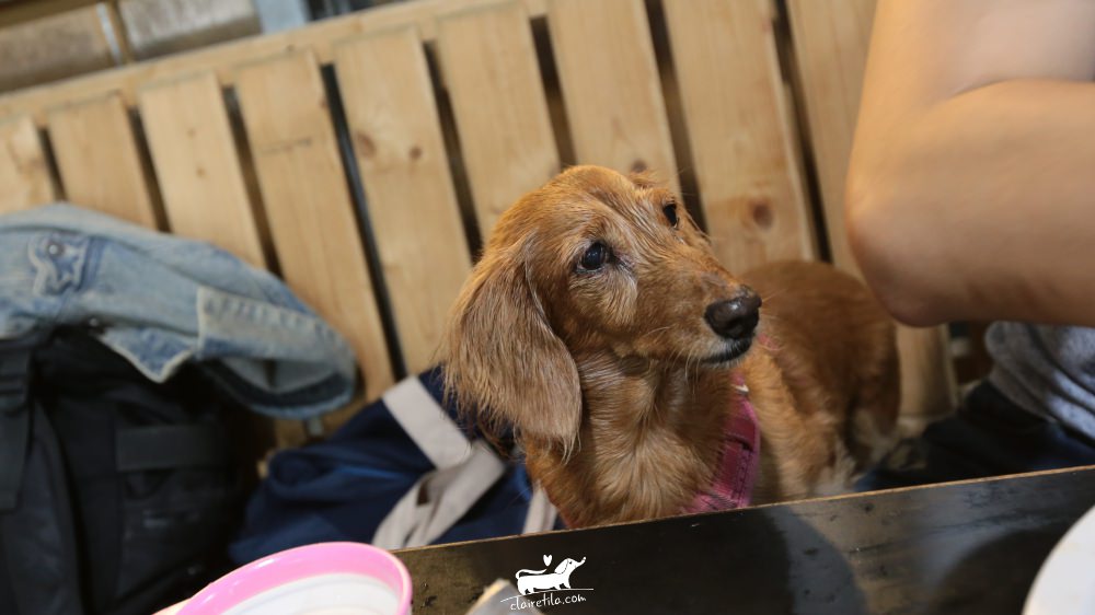 20251024-fvq9d 20251024-fvq9d