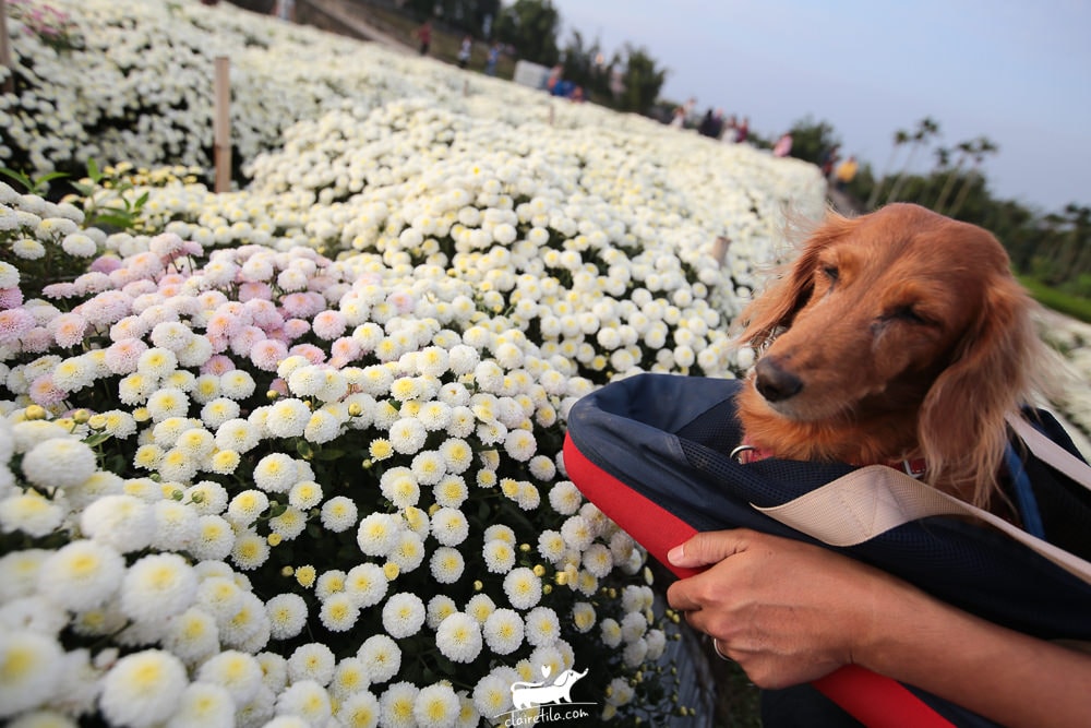 20251024-il2lh 20251024-il2lh