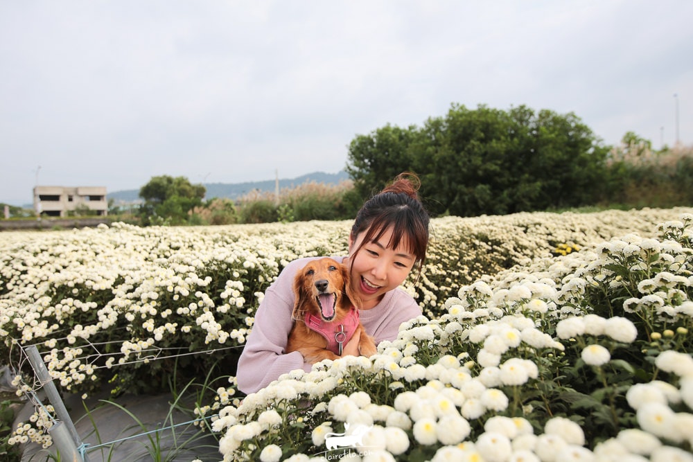 20251024-iu6rg 20251024-iu6rg