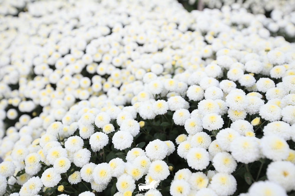 20251024-kqahe 20251024-kqahe