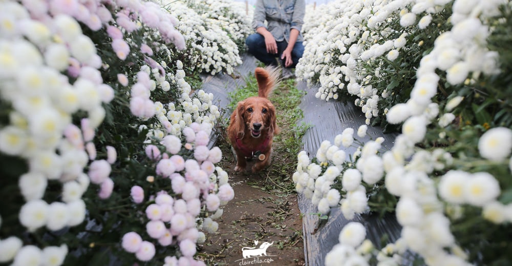 20251024-n29sl 20251024-n29sl