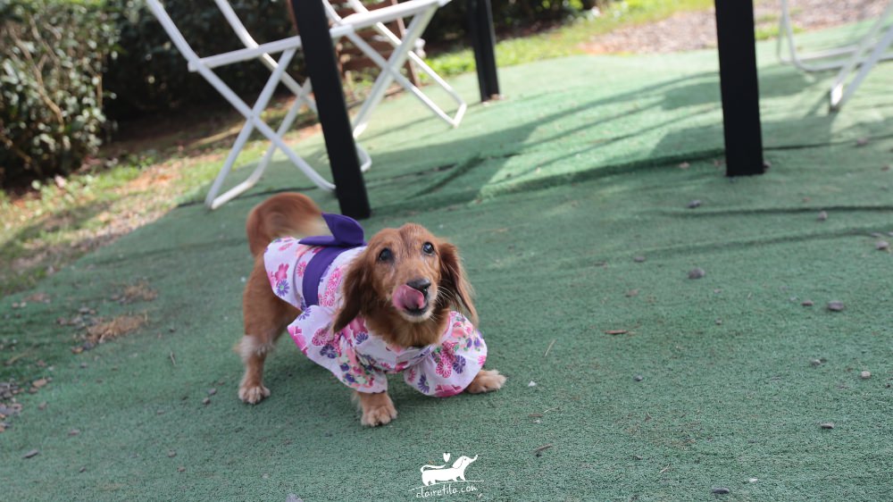 20251024-nmtg9 20251024-nmtg9