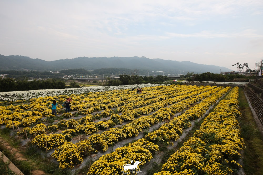 20251024-oe8c4 20251024-oe8c4