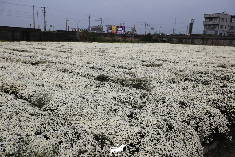 20251024-p0f5d 20251024-p0f5d