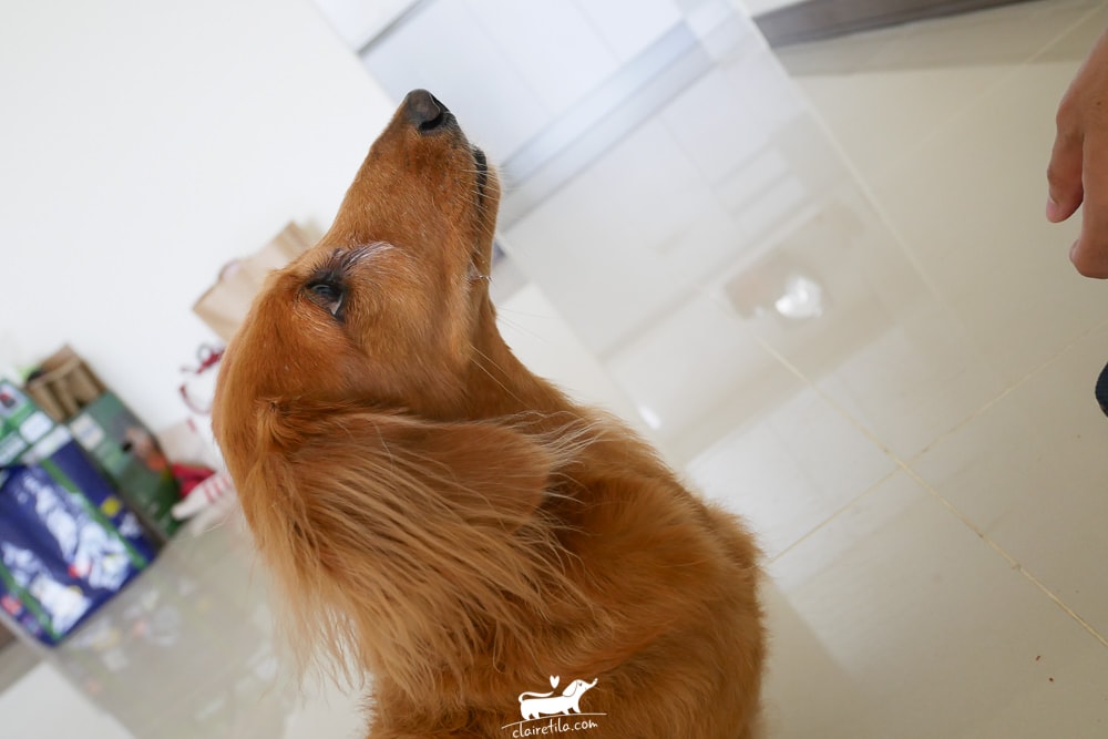 20251024-prbaa 20251024-prbaa