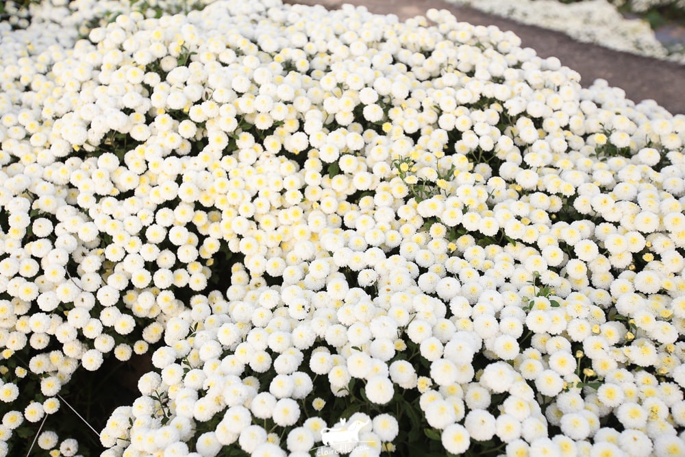 20251024-q93n5 20251024-q93n5