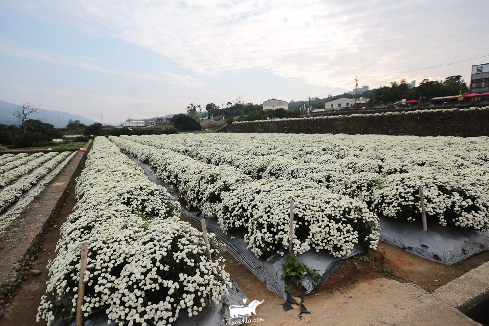 20251024-se2pb 20251024-se2pb