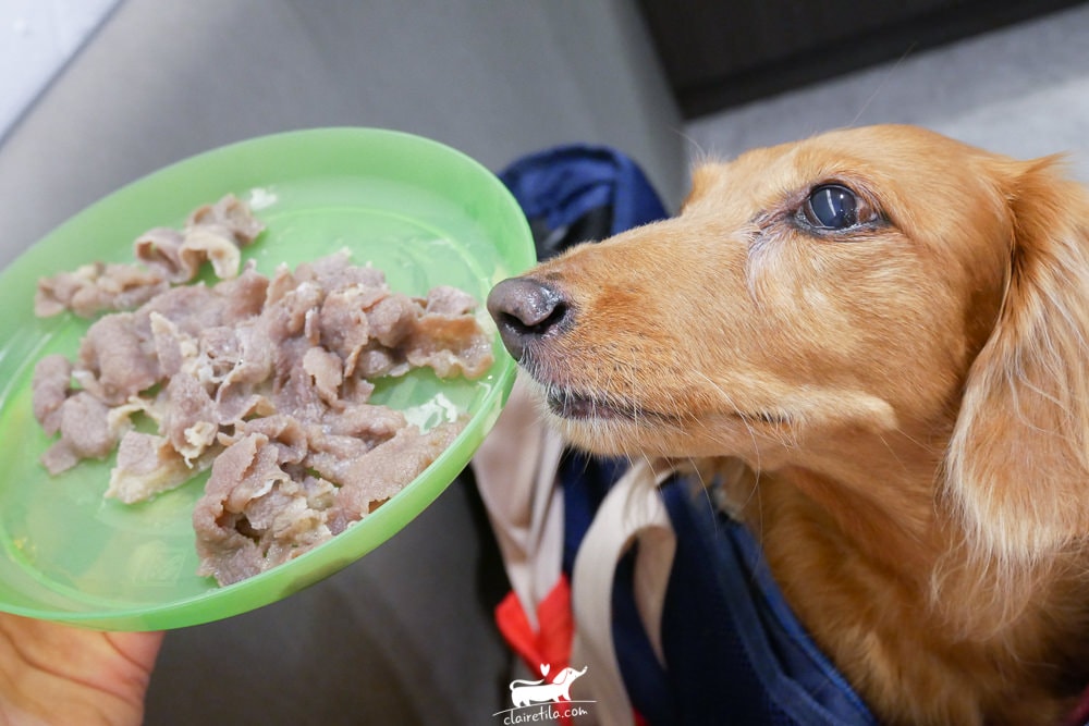 20251024-ut0hf 20251024-ut0hf