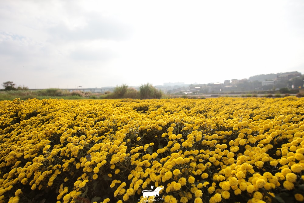 20251024-vkbl6 20251024-vkbl6