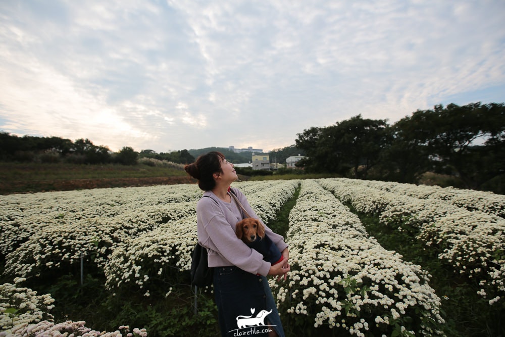 20251024-w5uvb 20251024-w5uvb