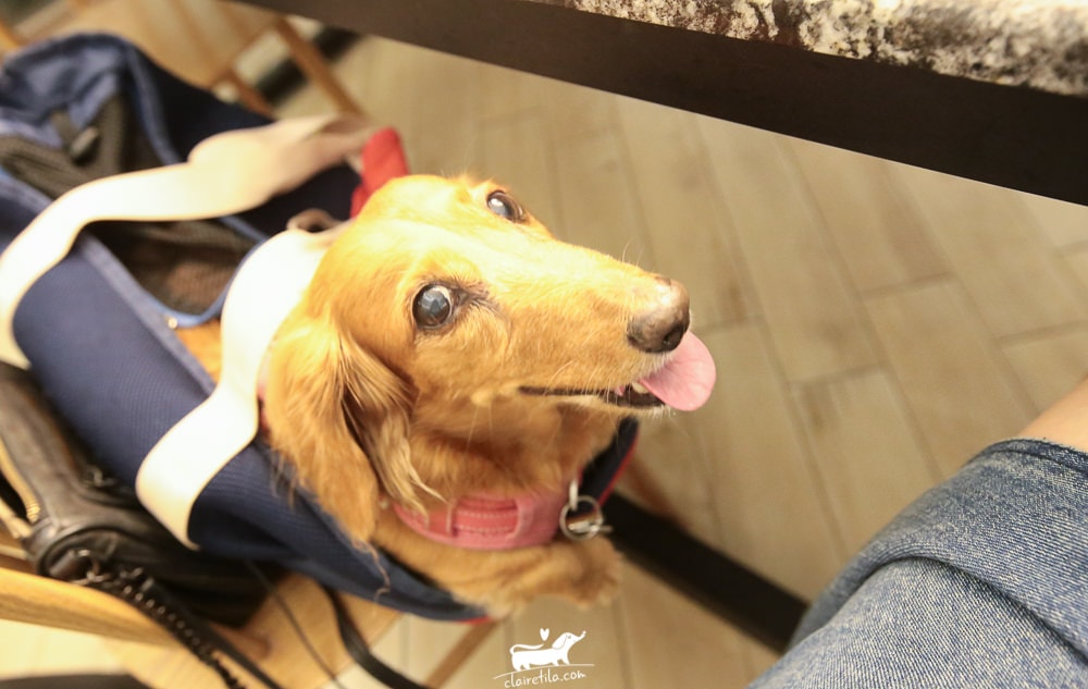 20251024-xz54x 20251024-xz54x