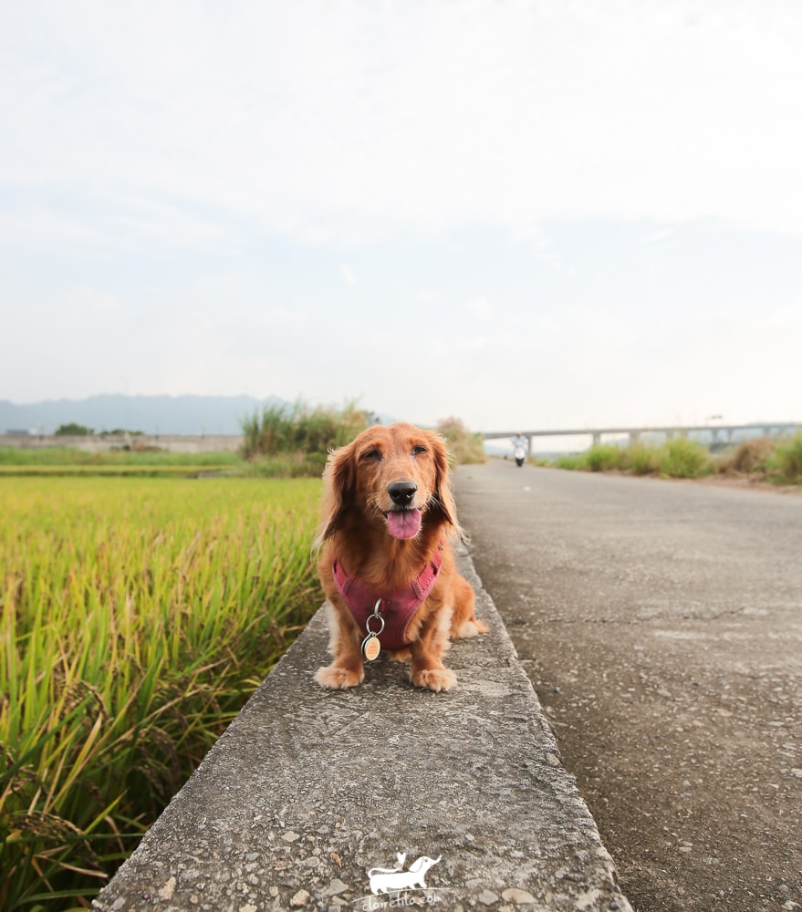 20251024-yygb9 20251024-yygb9