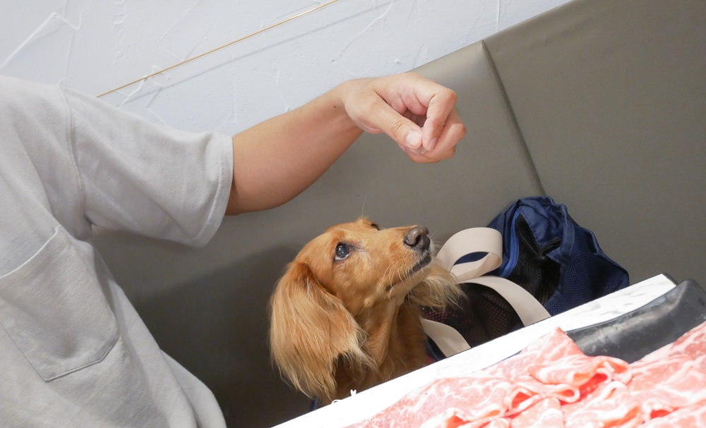 20251024-zvfj4 20251024-zvfj4