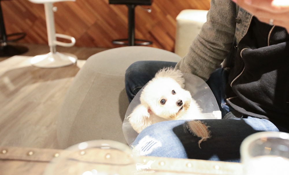 20251024-do2p4 20251024-do2p4