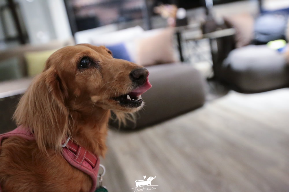 20251024-dp9cs 20251024-dp9cs