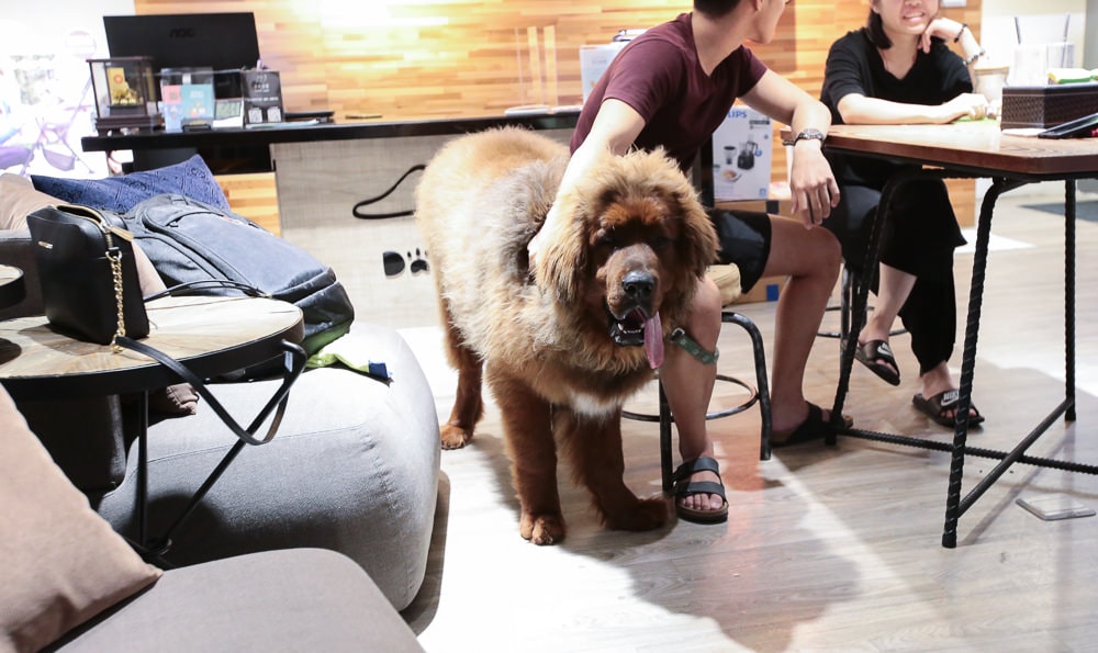 20251024-nvbu2 20251024-nvbu2