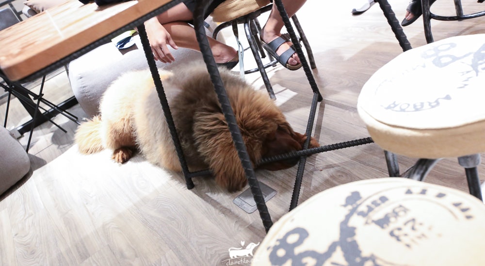 20251024-tr6li 20251024-tr6li