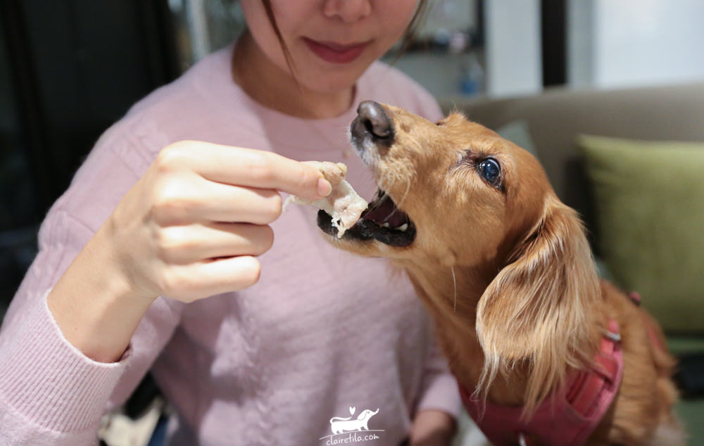 20251024-xanv4 20251024-xanv4