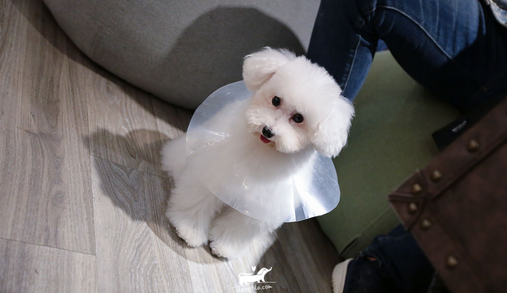 20251024-xe2d7 20251024-xe2d7