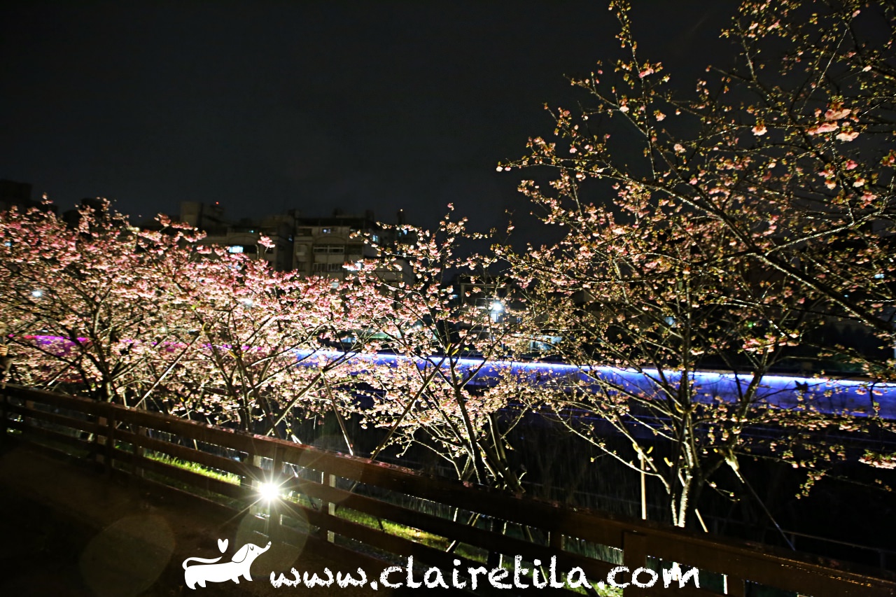 台北賞櫻》內湖樂活夜櫻季！台北市最美的櫻花河畔-走春賞櫻吧♥♥