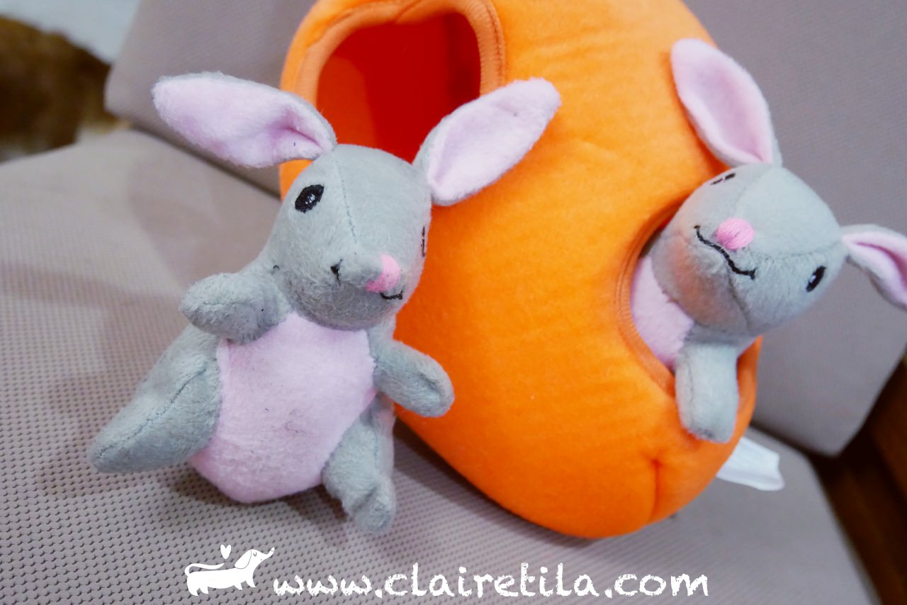 狗狗玩具》Amazon買的玩具~蘿蔔屋裡的三隻小兔子-毛小孩日腸♥♥