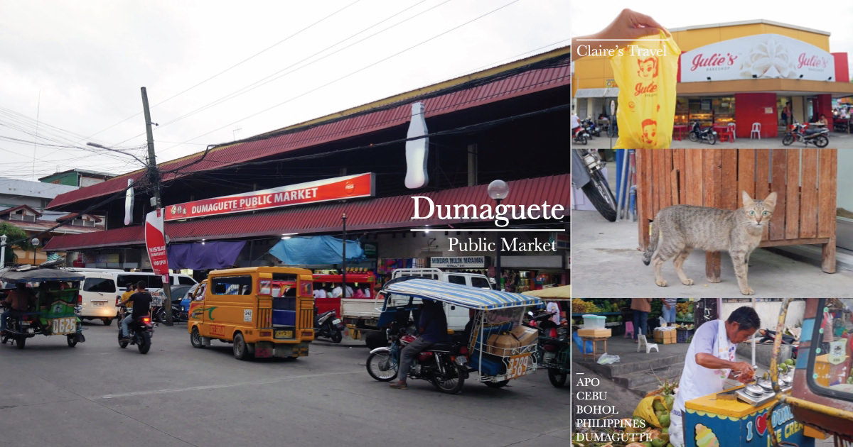 杜馬蓋地市區觀光》傳統市場Dumaguete Public Market/菲律賓交通工具♥♥ @C妞日記｜Claire&#039;s Diary