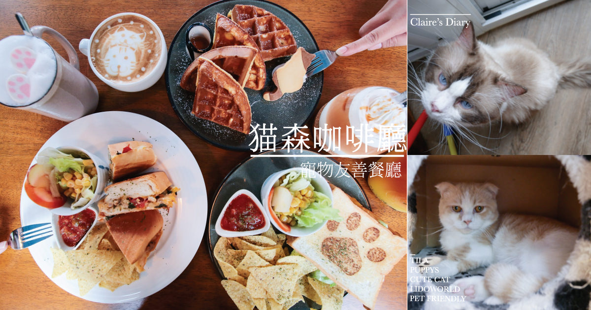 桃園楊梅餐廳》猫森咖啡廳~與可愛貓兒來場慵懶下午茶(貓森)寵物友善♥♥