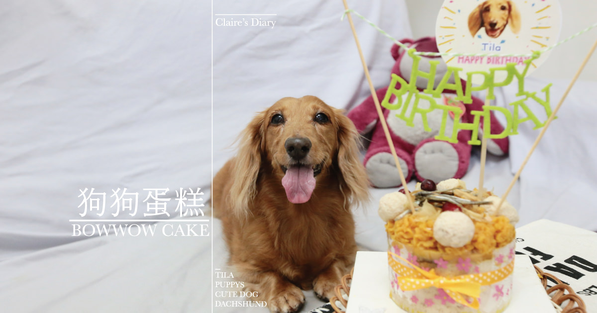 即時熱門文章：狗狗蛋糕推薦》包旺家-小犬食堂寵物蛋糕.貓咪生日蛋糕♥♥