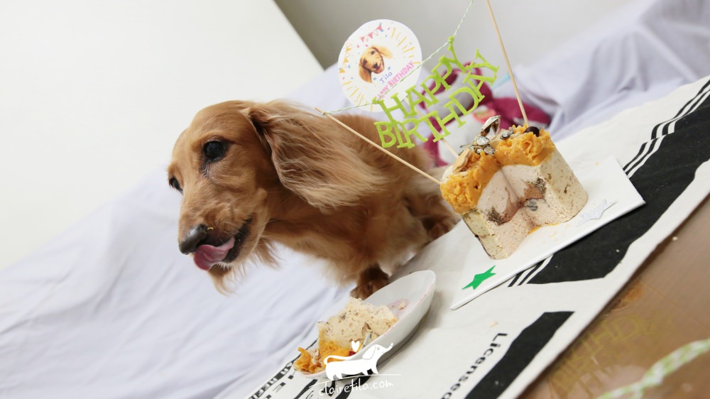 狗狗蛋糕推薦》包旺家-小犬食堂寵物蛋糕.貓咪生日蛋糕♥♥