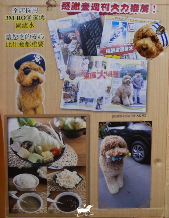 大毛屋涮涮鍋菜單》帶狗狗一起吃火鍋-寵物友善餐廳♥♥