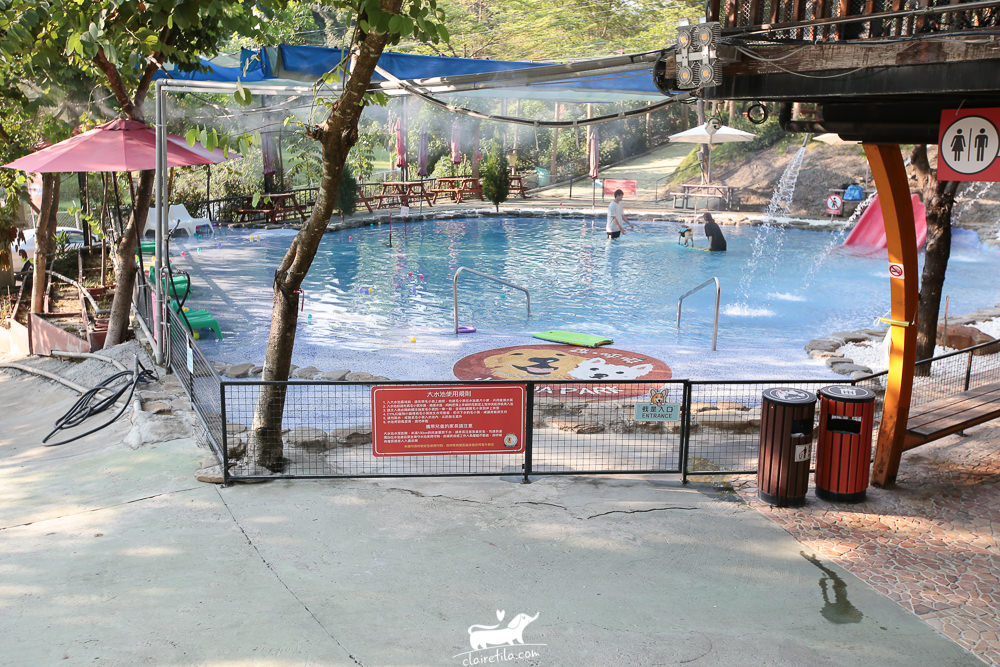 台南寵物游泳池》關廟狗狗玩水泳池好乾淨.森呼吸寵物休閒廣場♥♥