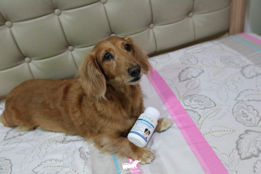 毛寶貝護理系列》澳洲 PAW-臘腸犬的保健日常!寶骨樂與寶膚樂♥♥