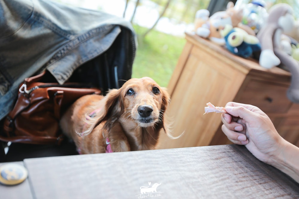 20251024-4al8j 20251024-4al8j