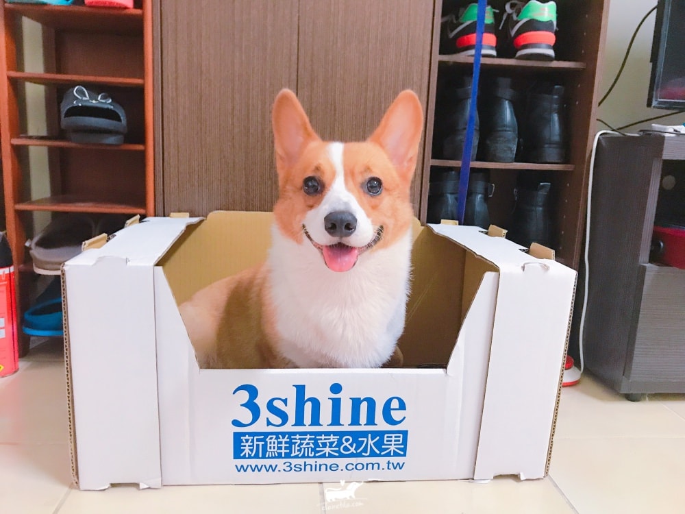 20251024-9h3vw 20251024-9h3vw