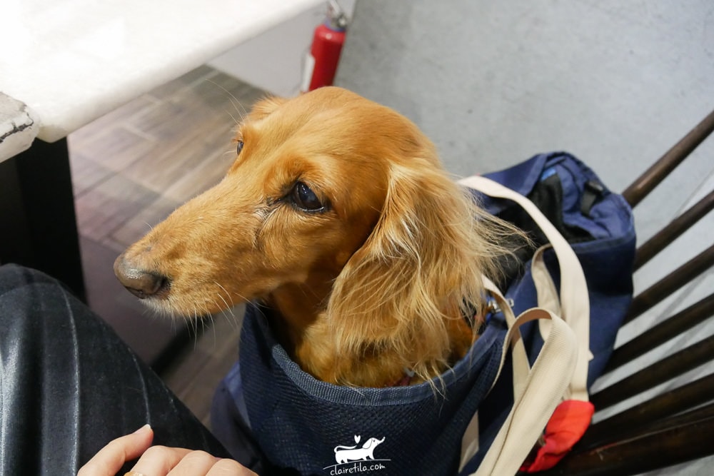 20251024-9n1dt 20251024-9n1dt