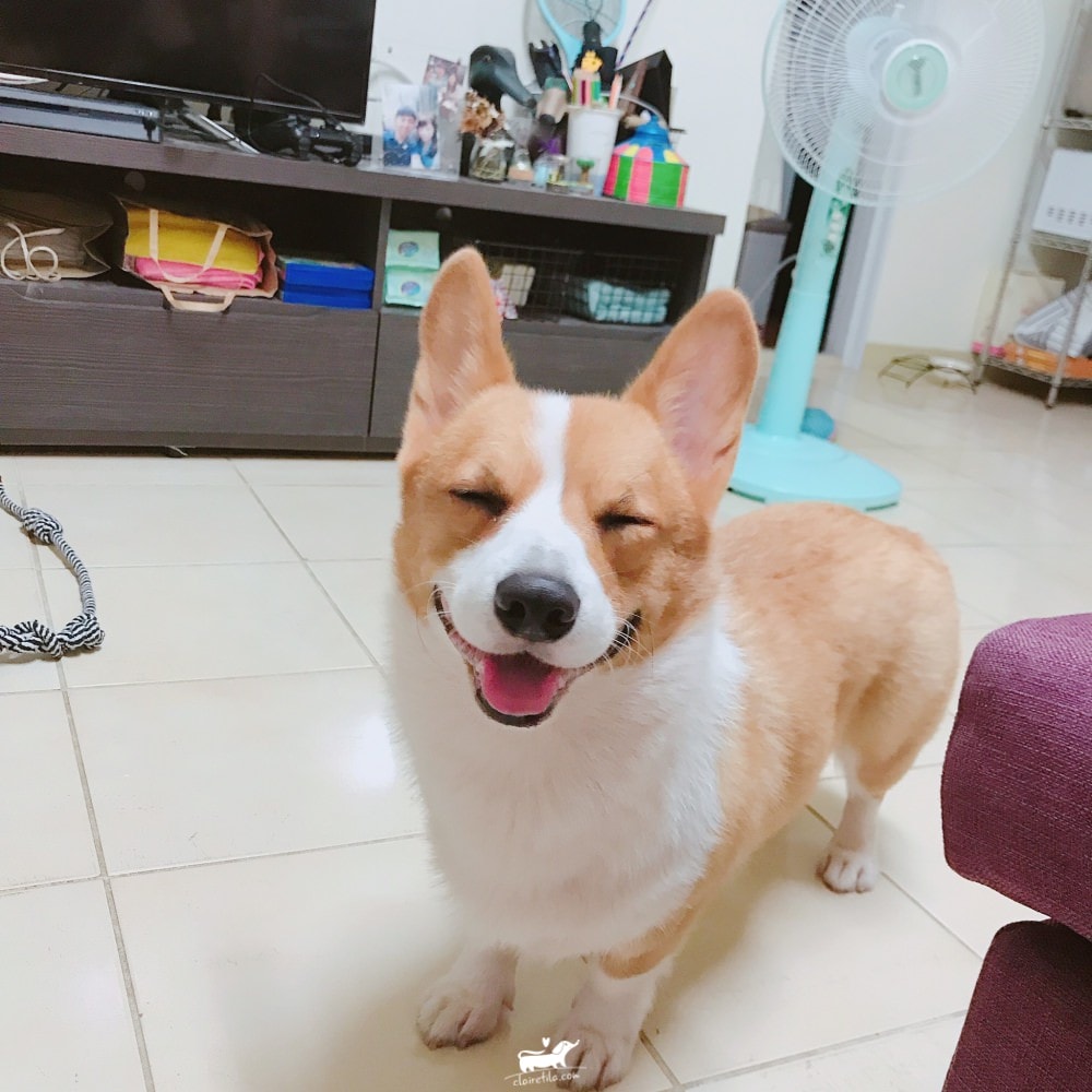 20251024-aiswb 20251024-aiswb