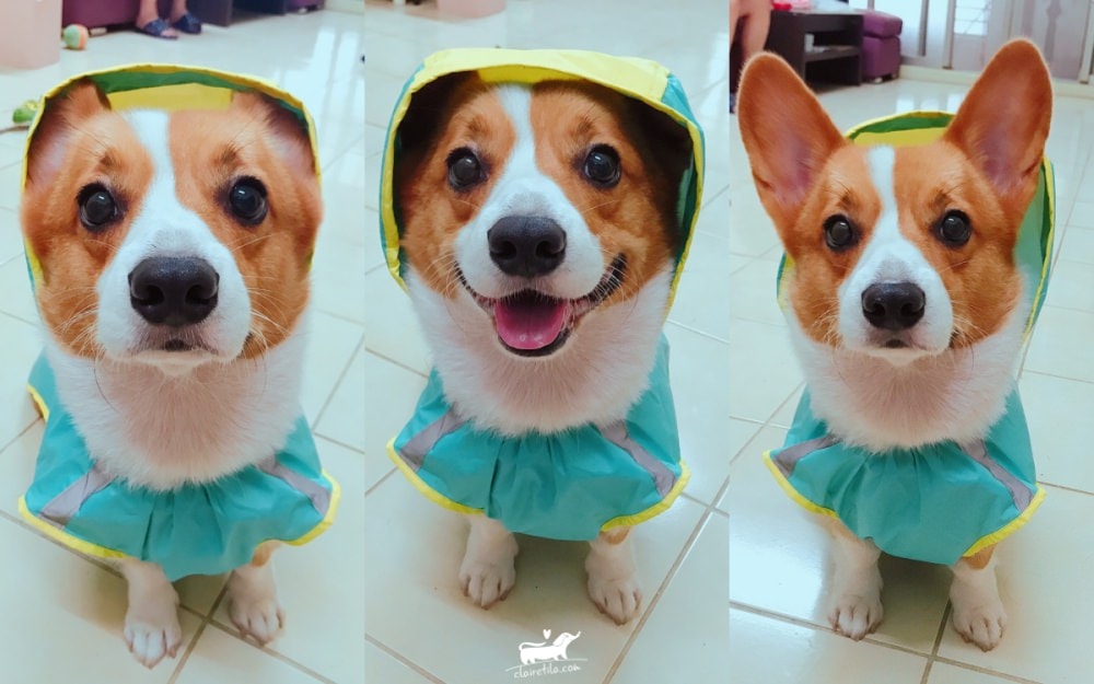 20251024-bbc1d 20251024-bbc1d