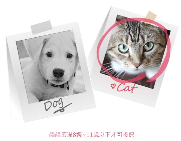 20251024-gi2uo 20251024-gi2uo