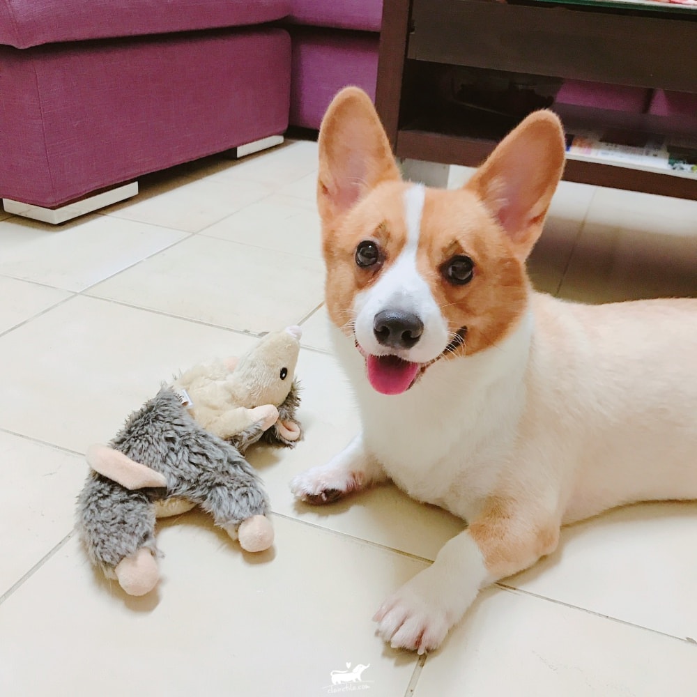 20251024-hgomi 20251024-hgomi