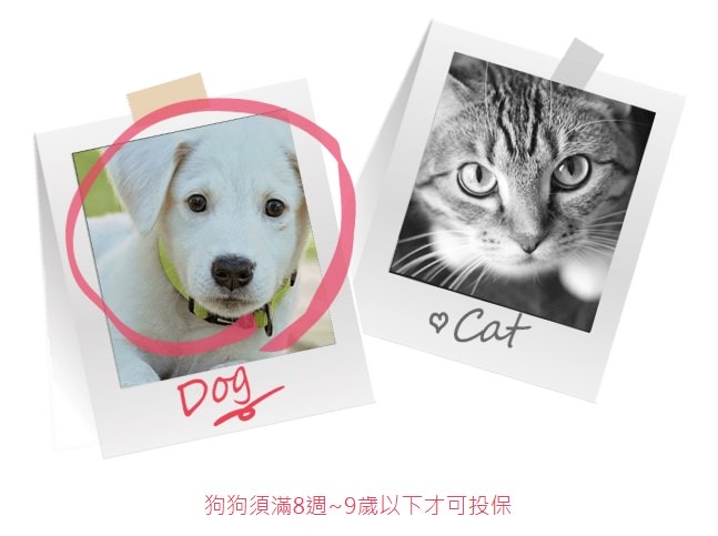 20251024-irc3x 20251024-irc3x