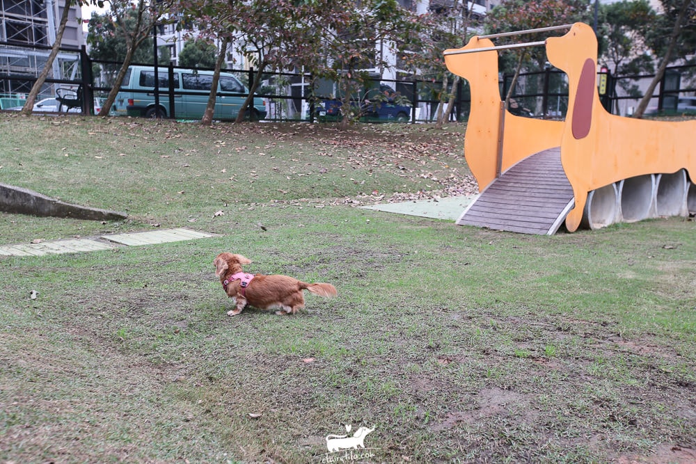 20251024-k2r3d 20251024-k2r3d