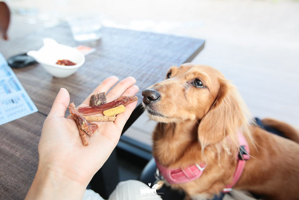 20251024-p24wf 20251024-p24wf