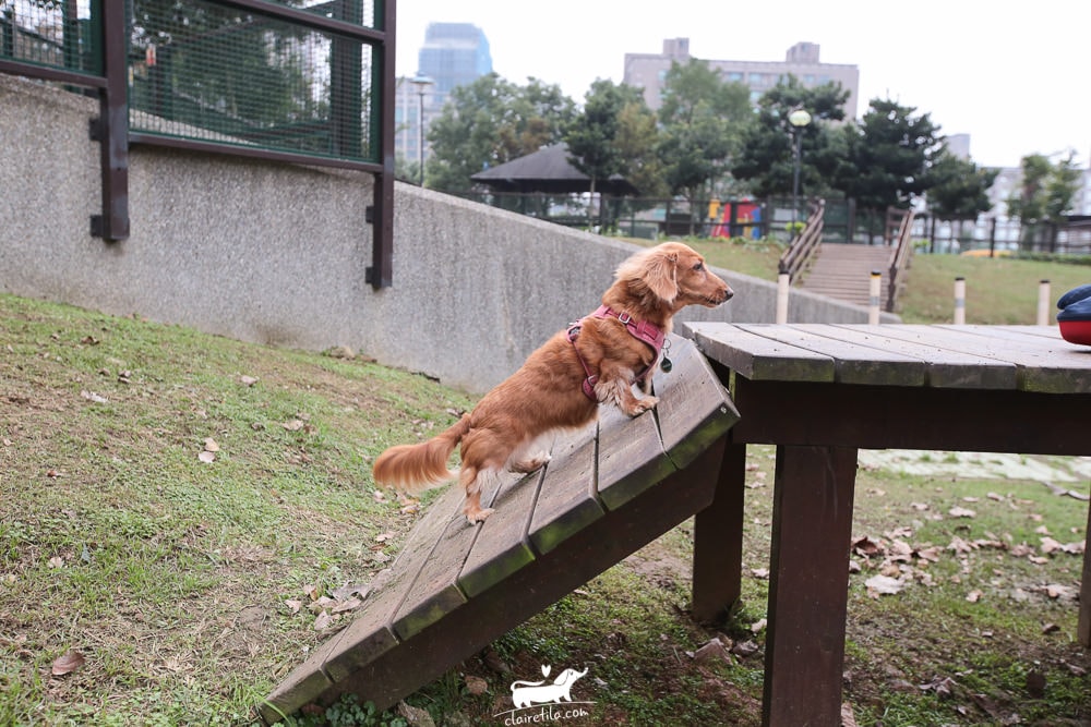 20251024-p4wmi 20251024-p4wmi