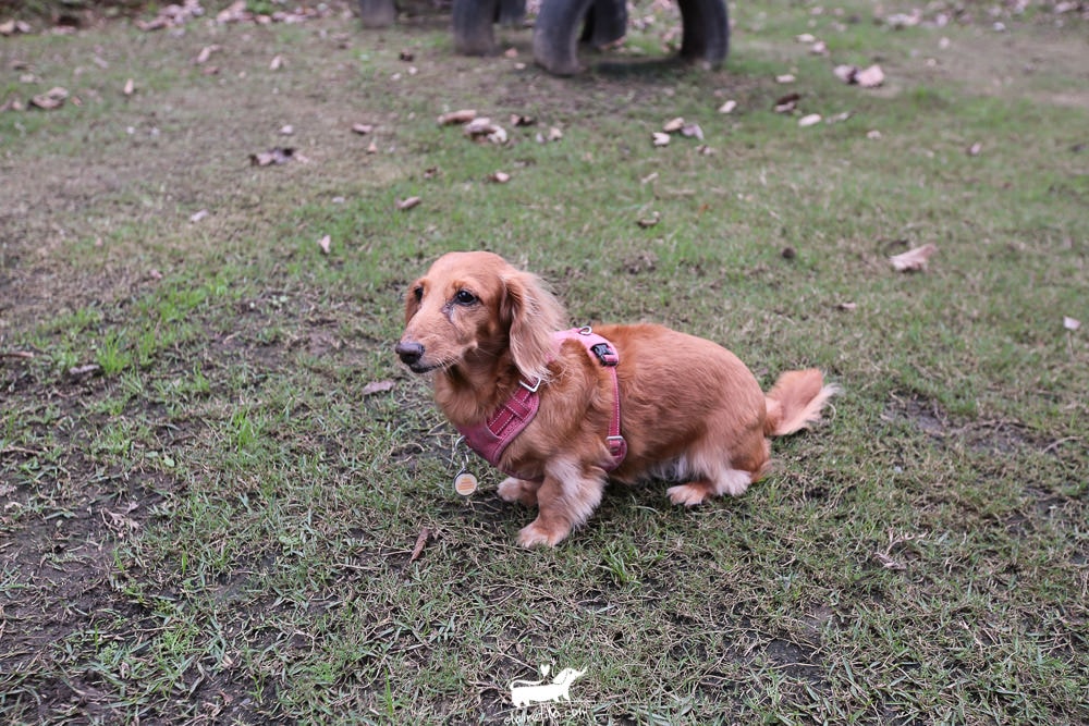 20251024-p89i0 20251024-p89i0