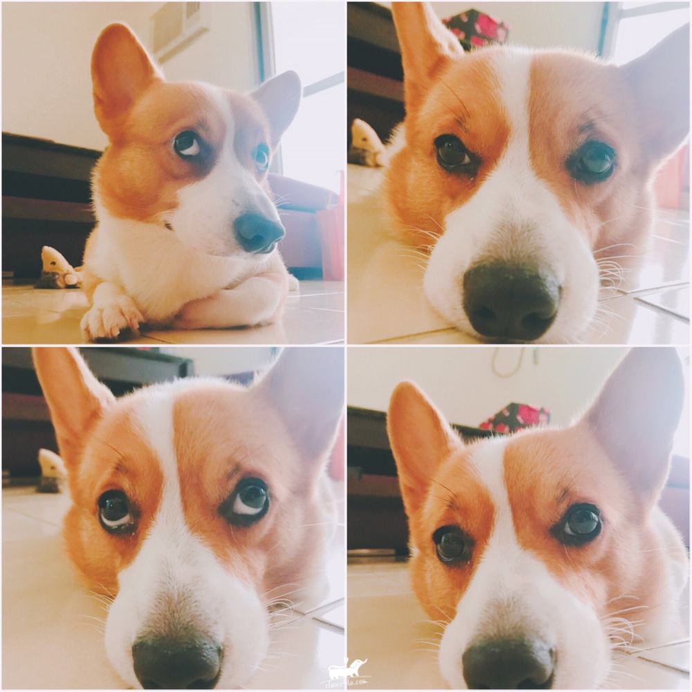 20251024-ql4n7 20251024-ql4n7