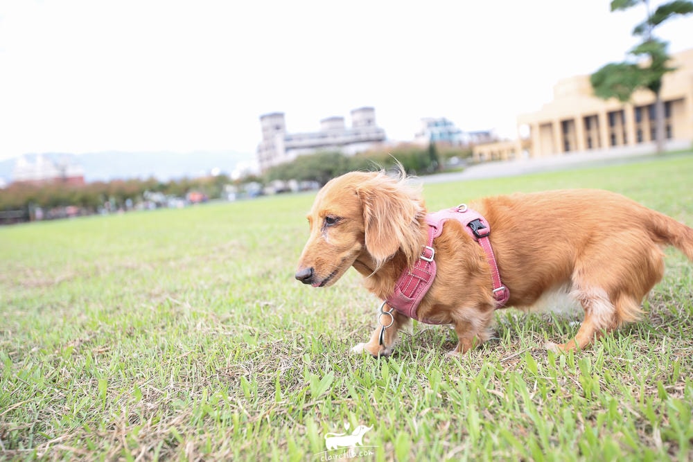 20251024-r8483 20251024-r8483