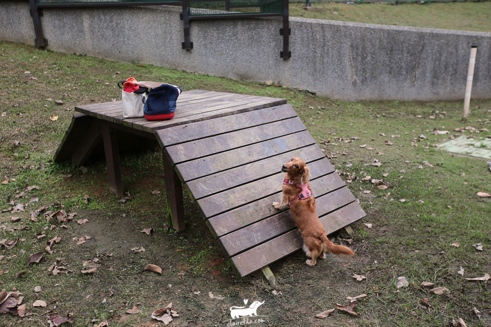 20251024-rrd7r 20251024-rrd7r