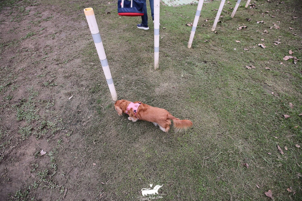 20251024-tiusd 20251024-tiusd