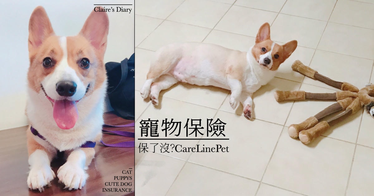 20251024-wp66l 20251024-wp66l