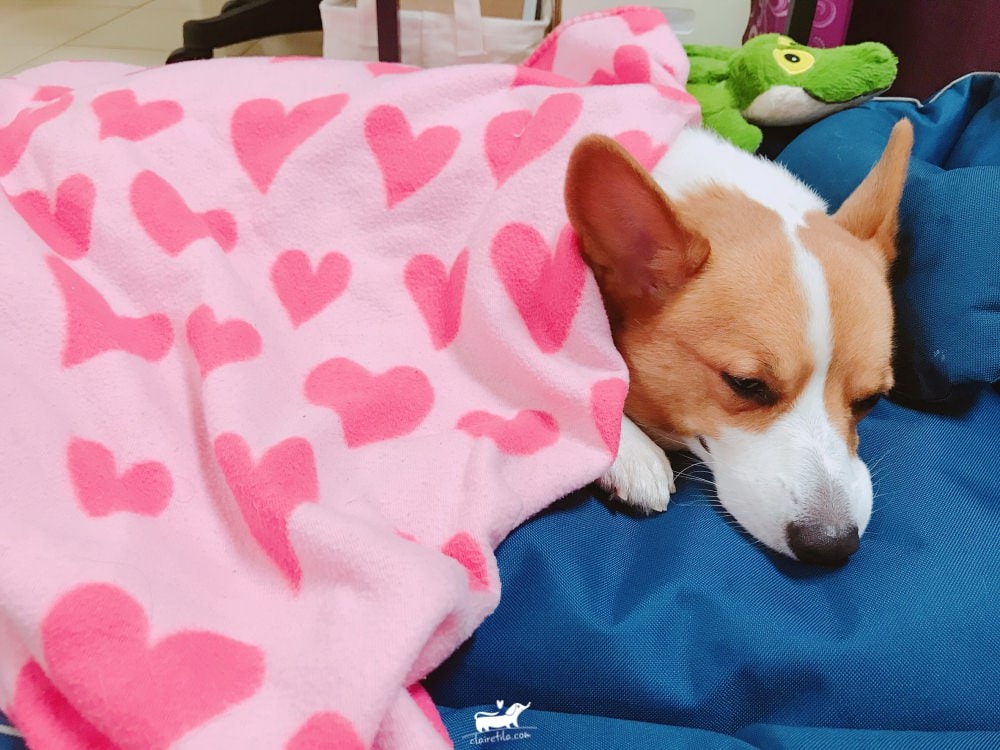 20251024-x9rul 20251024-x9rul